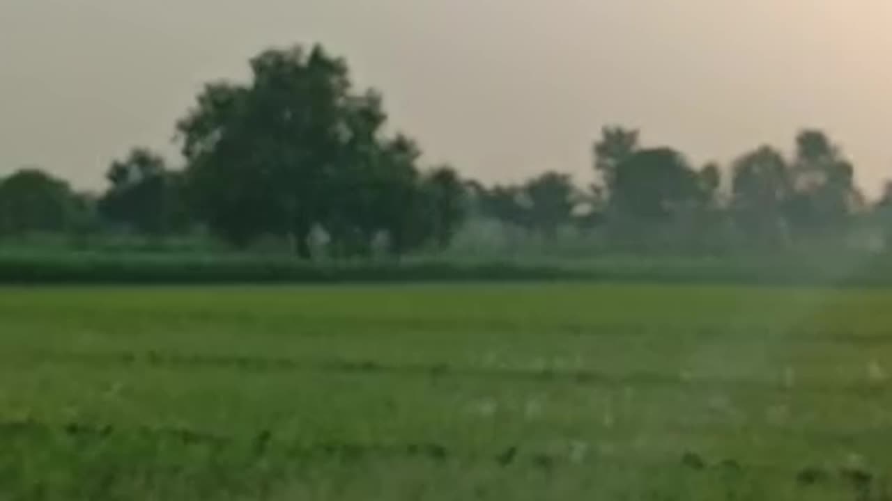 Peaceful fields in Pakistan