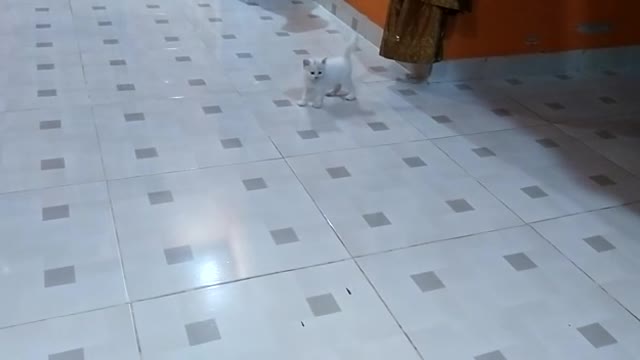 introduction