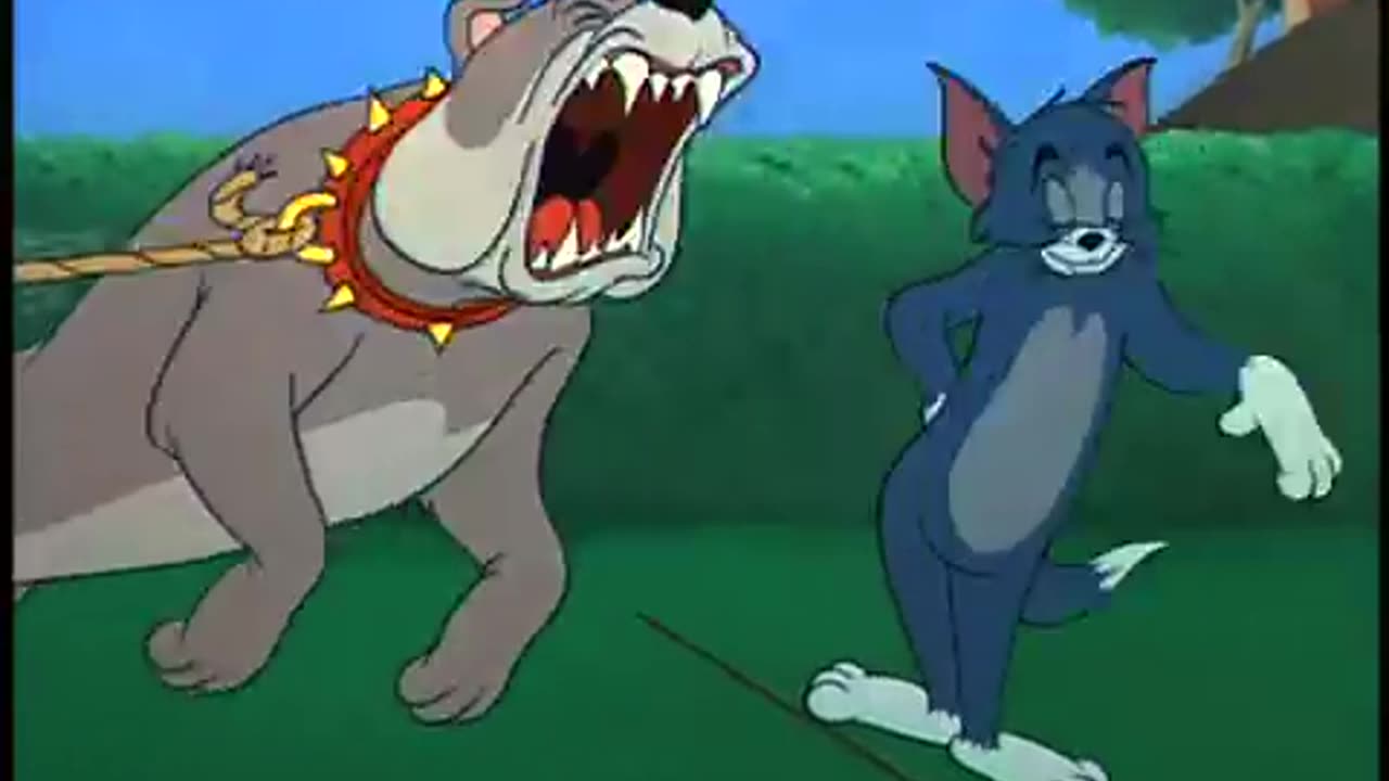 TOM AND JERRY -FIT TO BE TIED