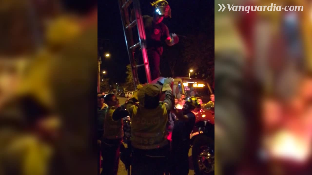 Bomberos rescataron a un puercoespín en Bucaramanga