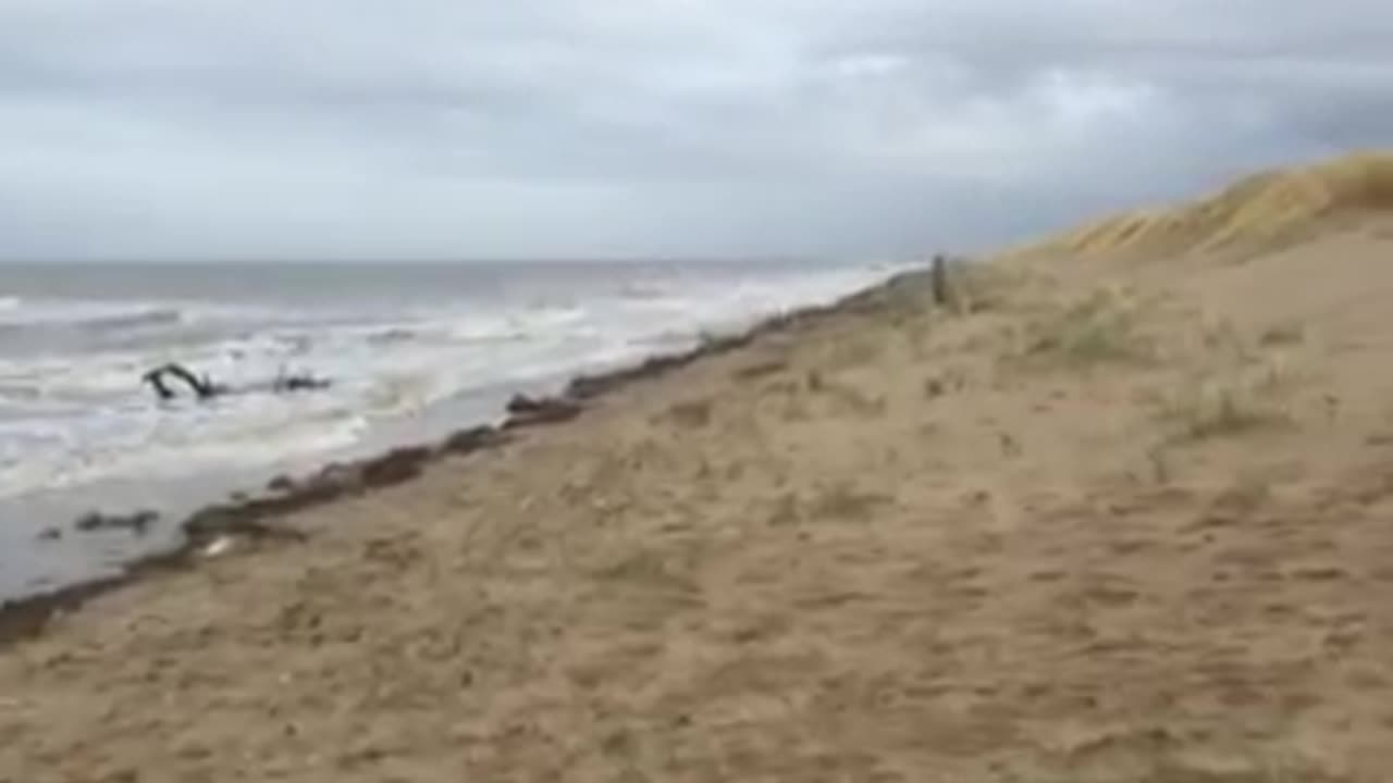 TRUMPS ARREST IS GOING TO CREATE NOTHING