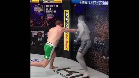 FX Effects in Boxing & MMA