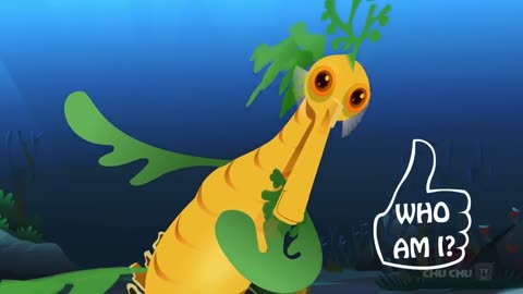 Leafy Sea Dragon|Cartoon|ChuChuTV|childhood educationl cartoon