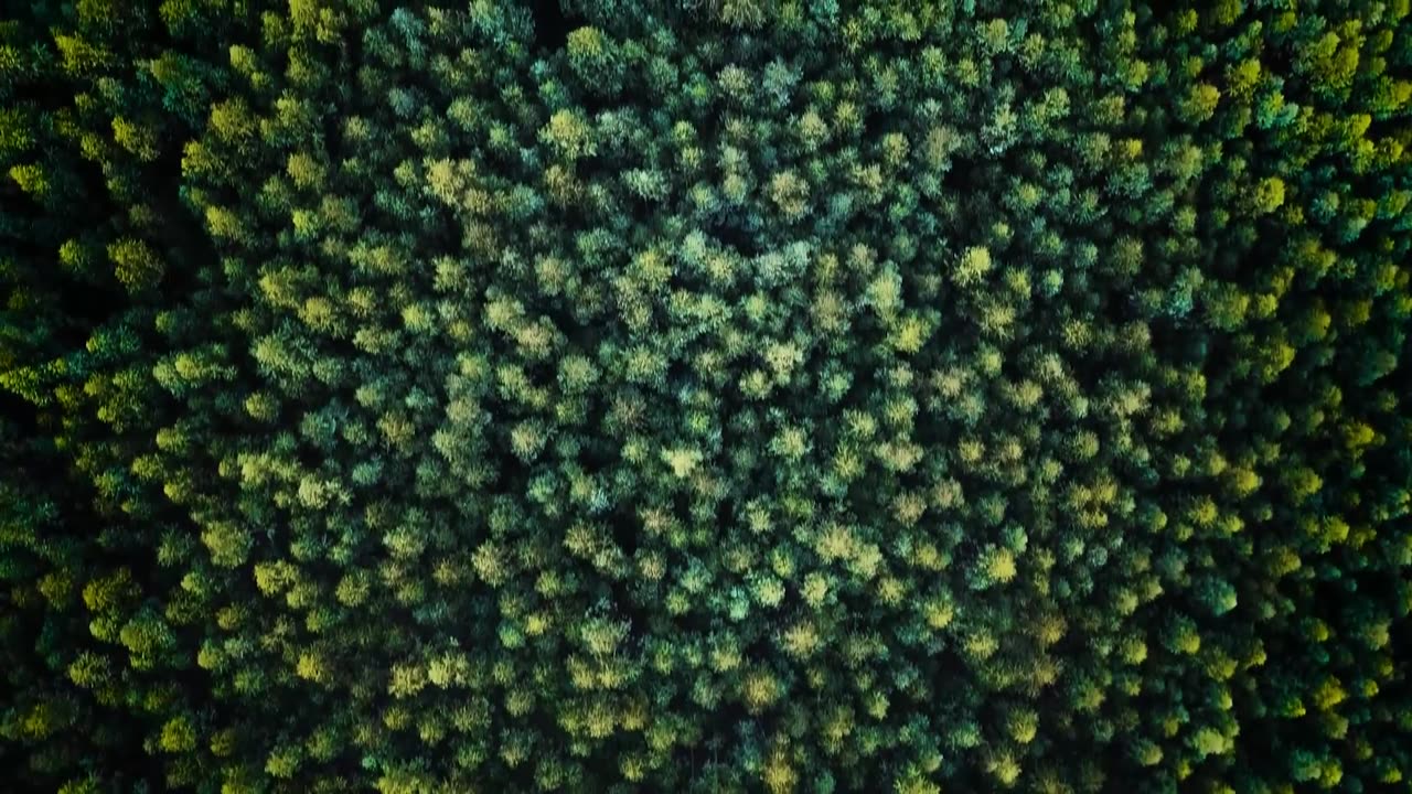 HIDDEN JAMES OF PLANET EARTH * SAVE EARTH SAVE LIFE