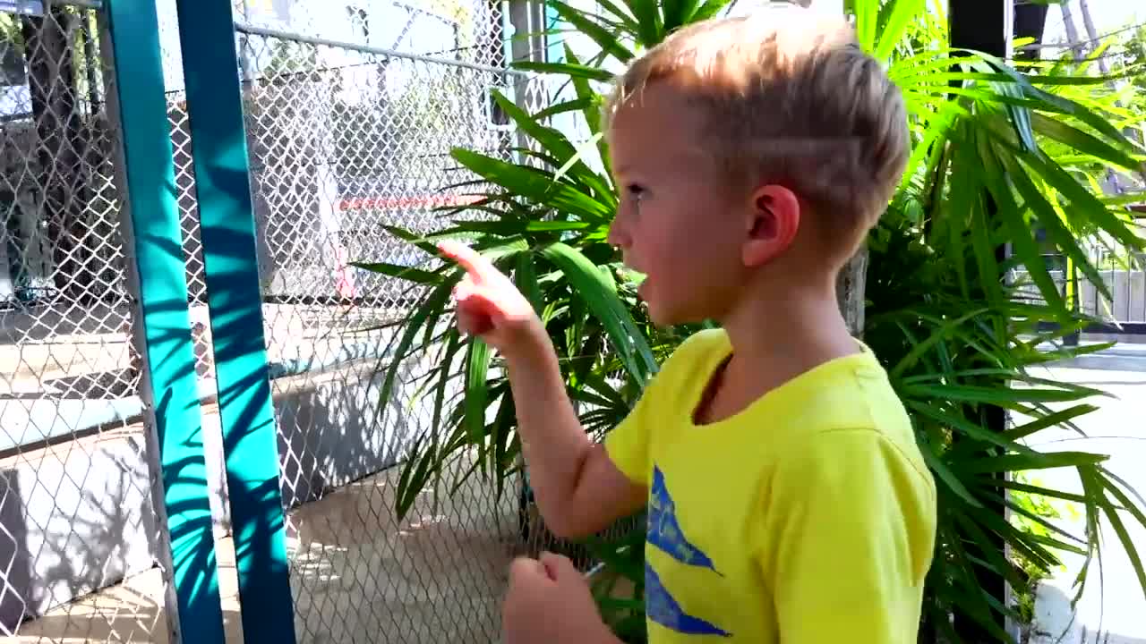 Vlad and Mama at sleeping tiger farm