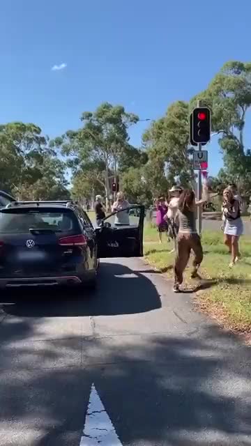 More footage of Canberra Car Wreck Karen Attacking