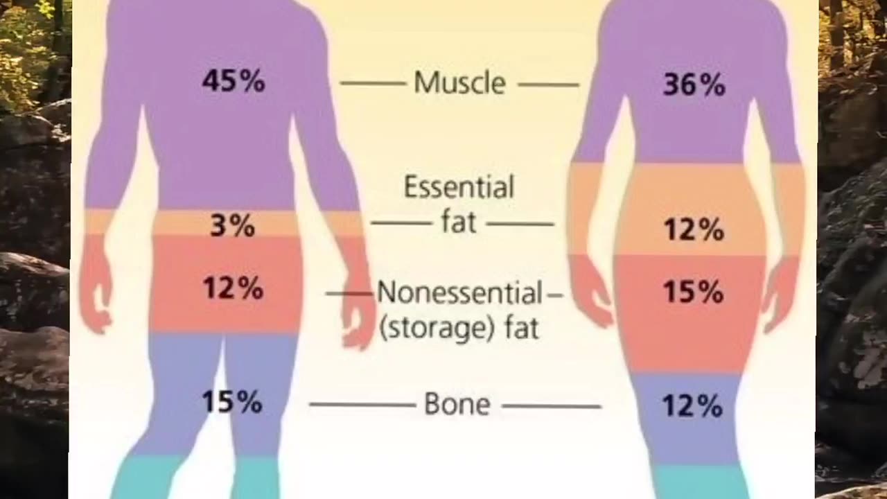 Achieving Optimal Body Composition: A Guide