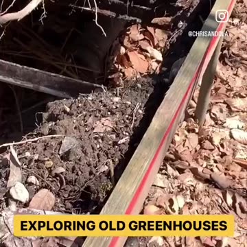 THINK THERE’S ANY ORIGINAL SOIL?