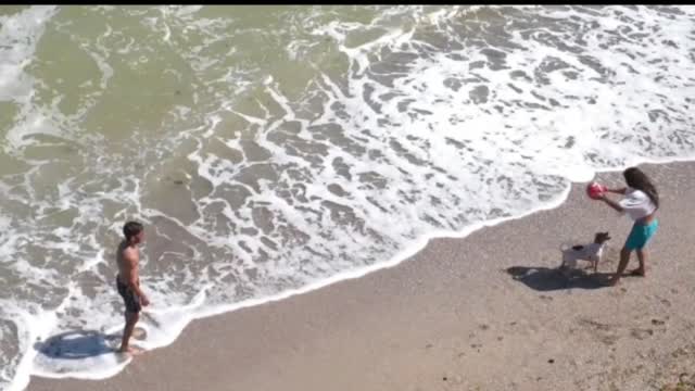 summer beach sea ocean water nature coast relax sunny playing dog outdoor people