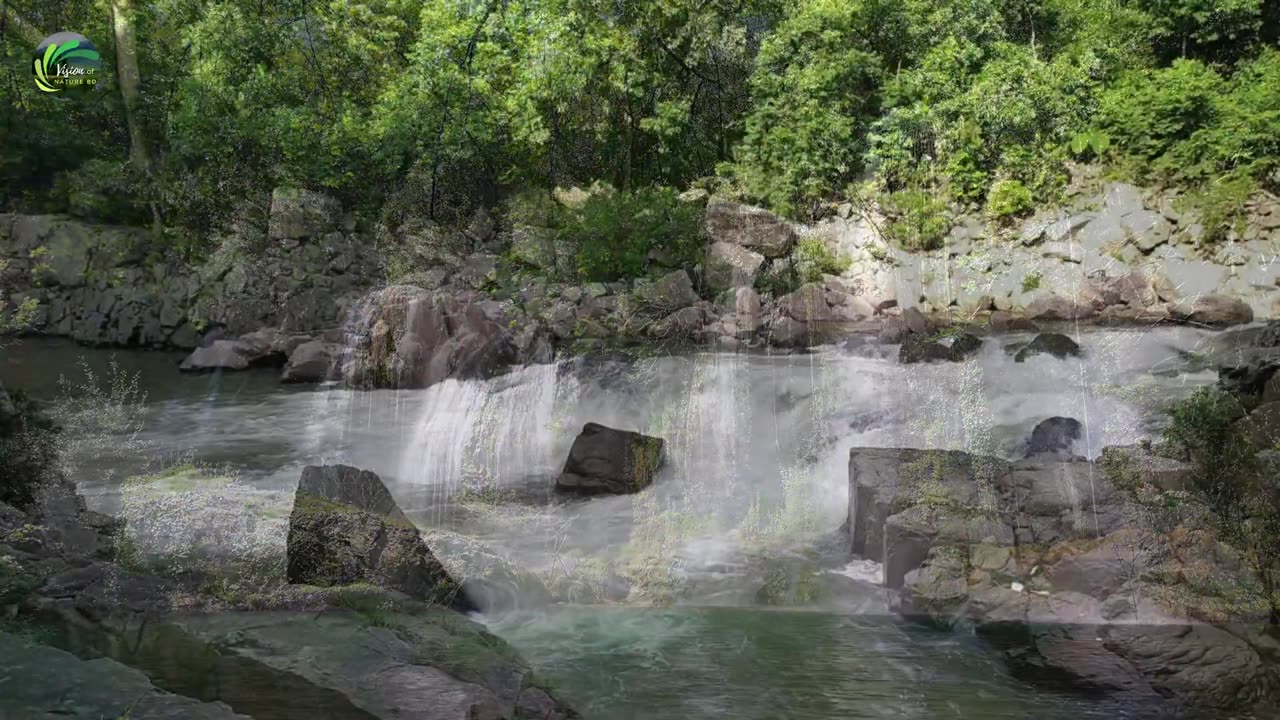 Amazing Beauty Of Nature- A 4K Relaxing Video
