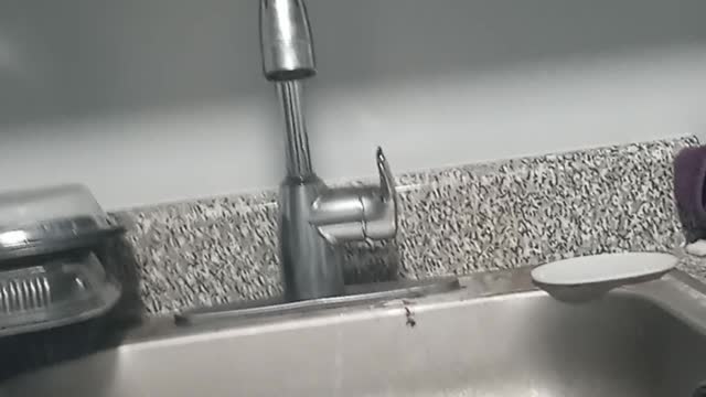 Adams, Lander announce nonprofit contracts task force