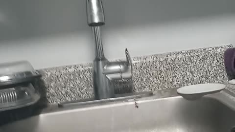 Adams, Lander announce nonprofit contracts task force