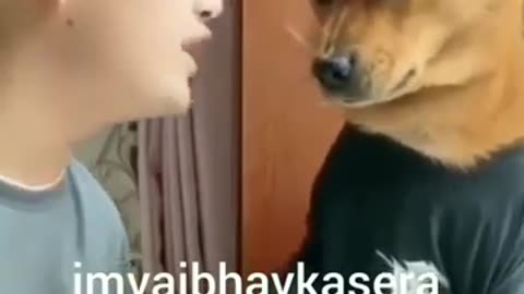 Angry dog with owner