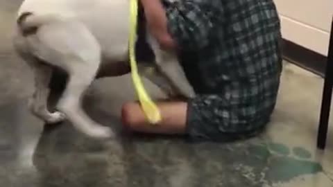 HOMELESS MAN REUNITED WITH LOST DOG