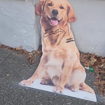 I don't deserve anything..