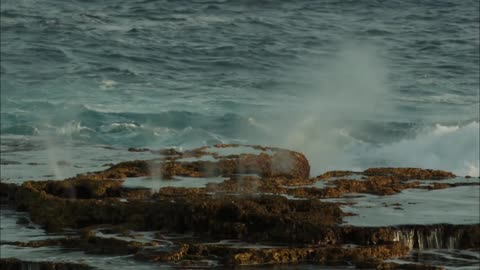 Volcano Odyssey: Birth of an island