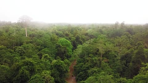 Camping Exploring: Penetrating the wilderness of Kalimantan - Tropical forest borneo