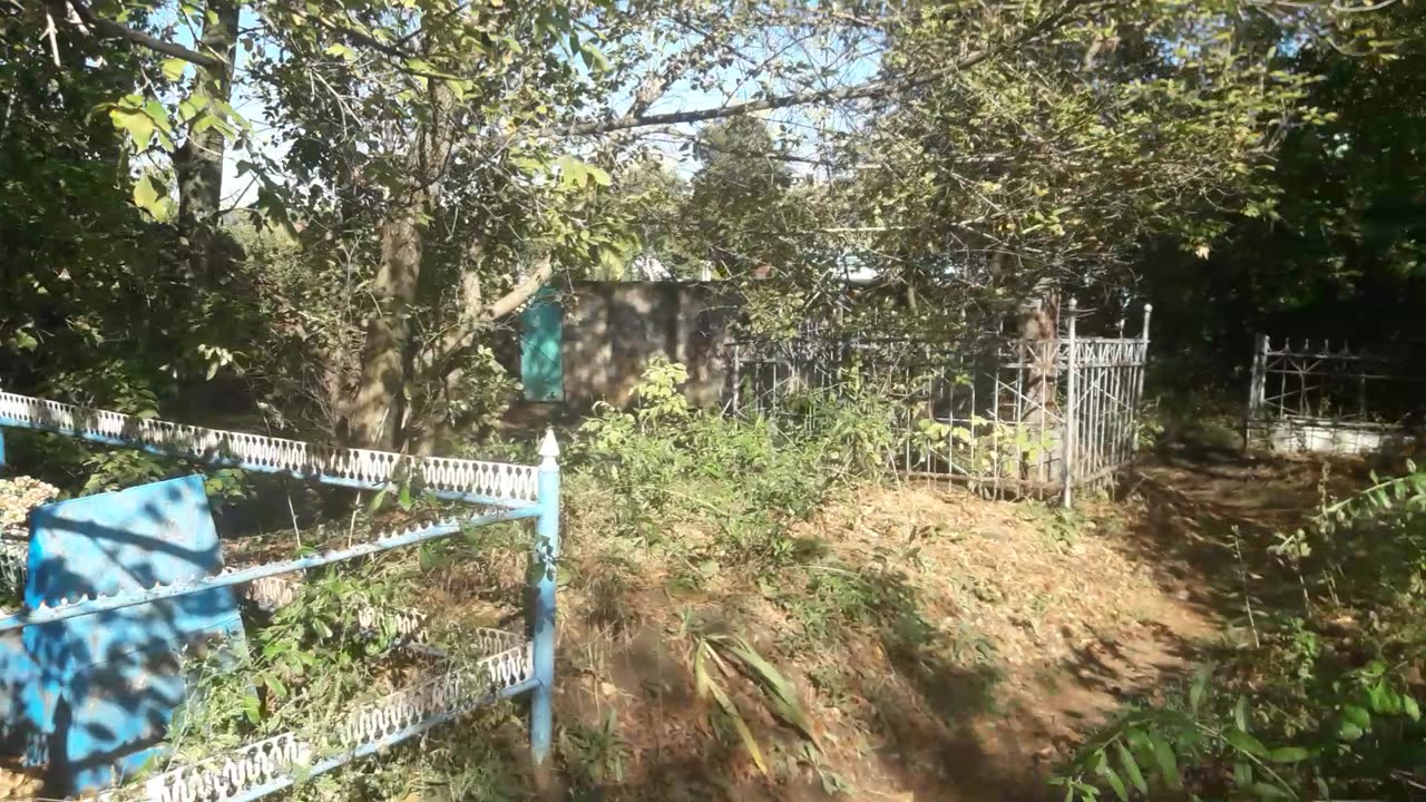 Road through the cemetery