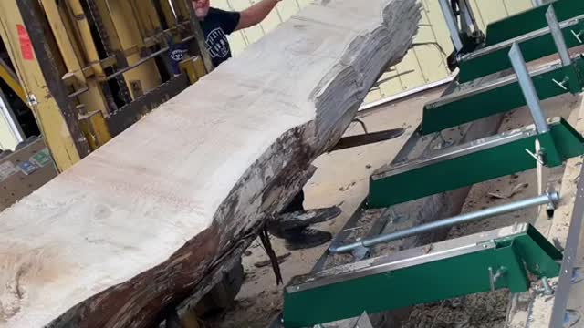 Big log on the sawmill #woodworking