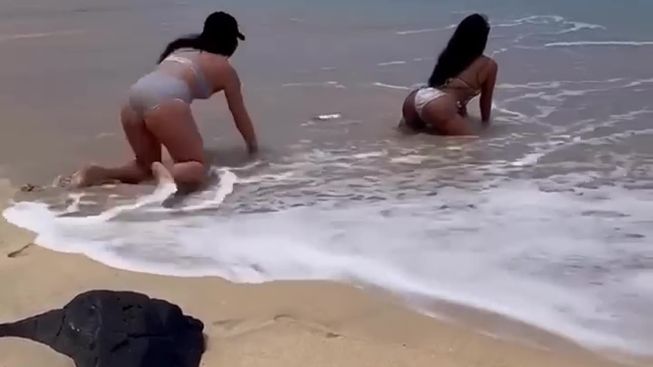 The end 😂😂😂 #funny #fails #shorts #viral #idiotsfolder