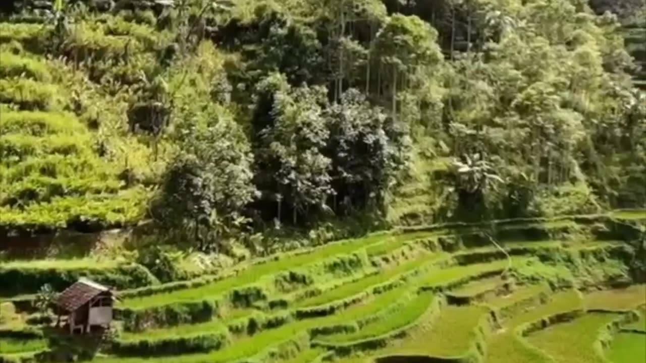 indonesia