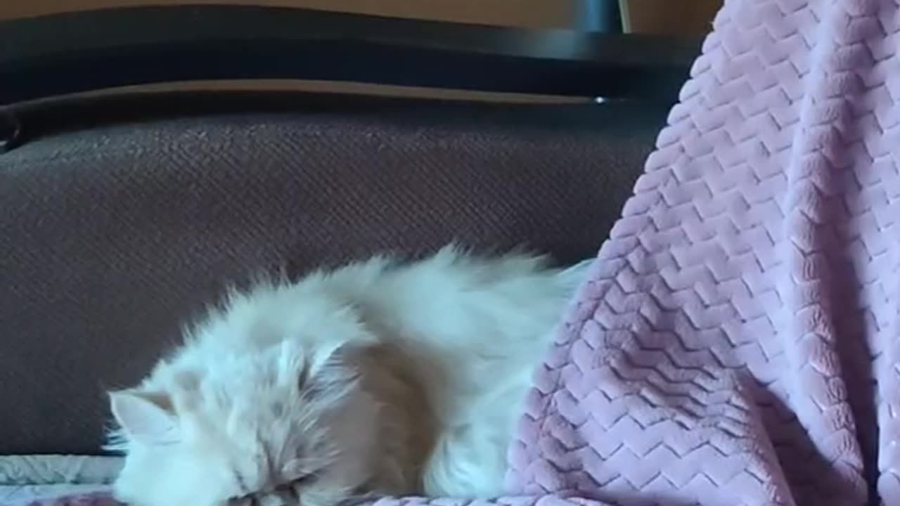 I spend all my time in the floor, and then water comes out of my nose. I’m catching cold.