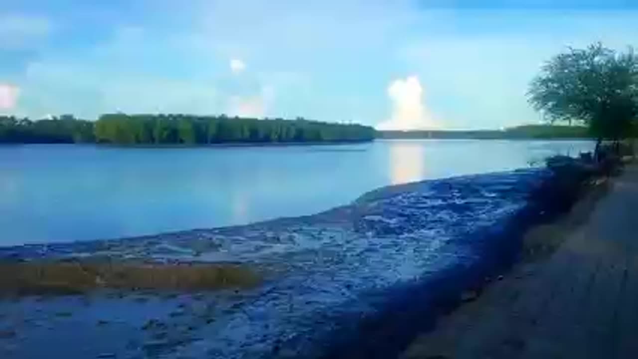 On one side of the river is the homestead and on the other side is the Sundarbans