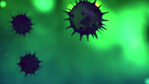 What Is Coronavirus?