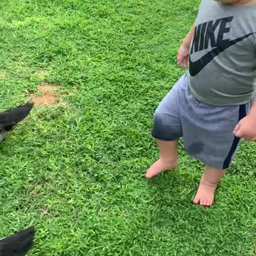 Elijah September 24, 2020. Baby ducks.