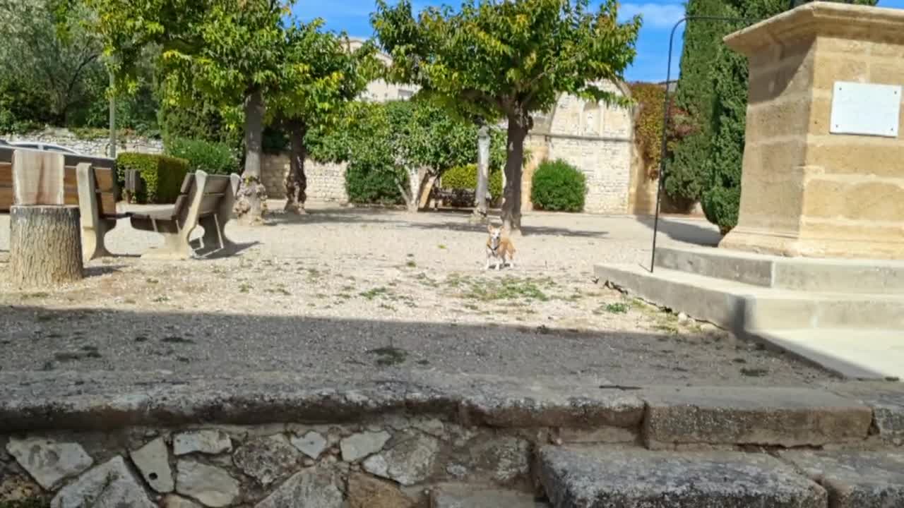 2022-10-02 (3) - On sort Maya - Twitch Triskelina