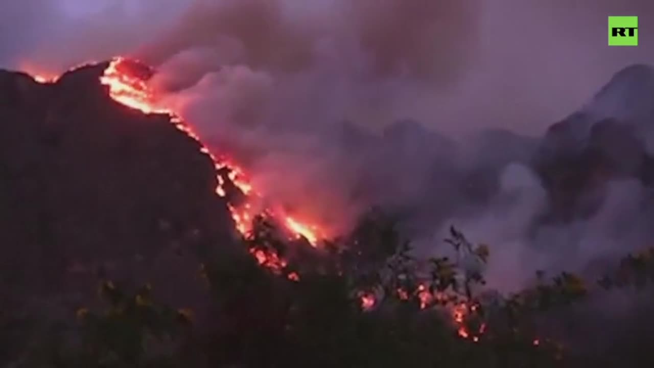 Several dead and injured from forest fire in southern Peru