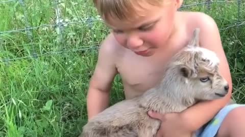 Children and animals