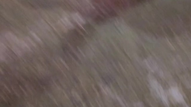 Ottawa protest January 31, 2022 raw video #5