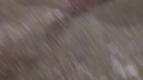 Ottawa protest January 31, 2022 raw video #5