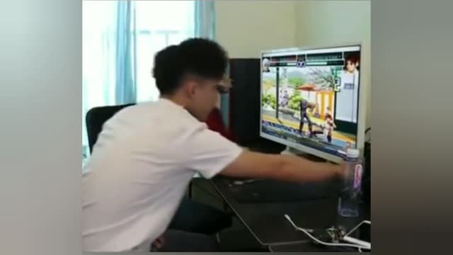 cachorro jogando vídeo game