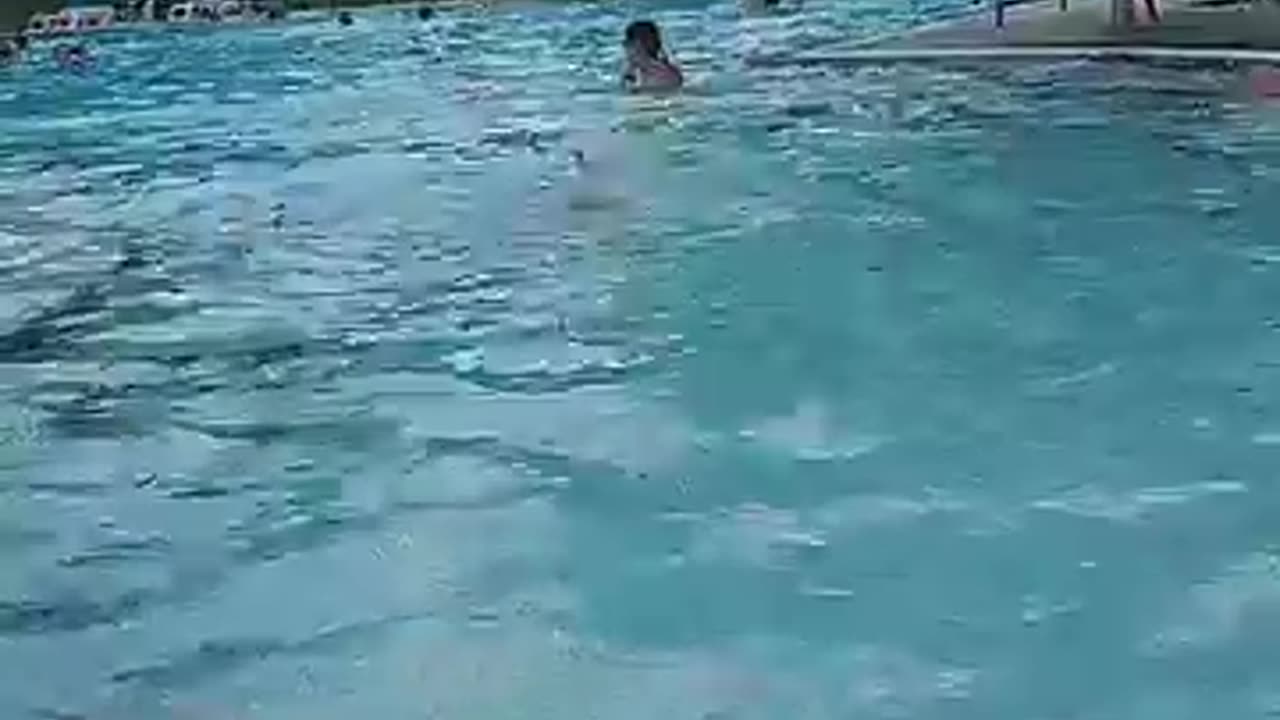 at westfield pool