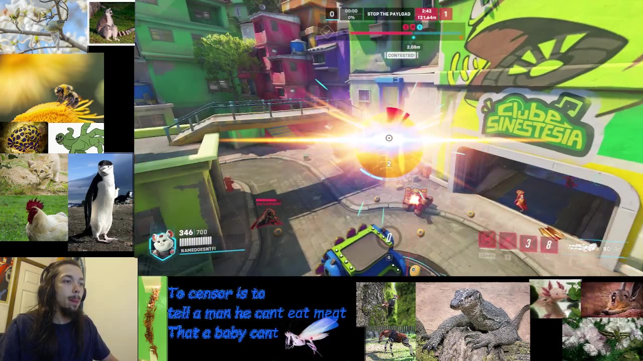 Womens Apprec Overwatch Stream