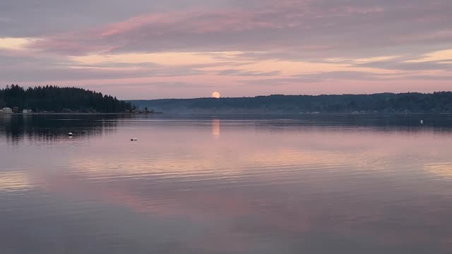 Just love the moonrise