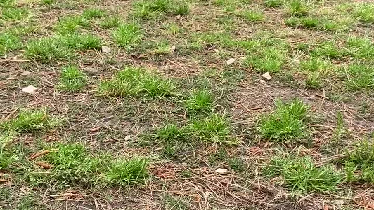 And the other nemesis, the ground