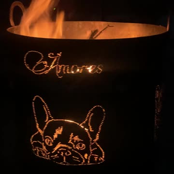 French Bulldogs - Amores