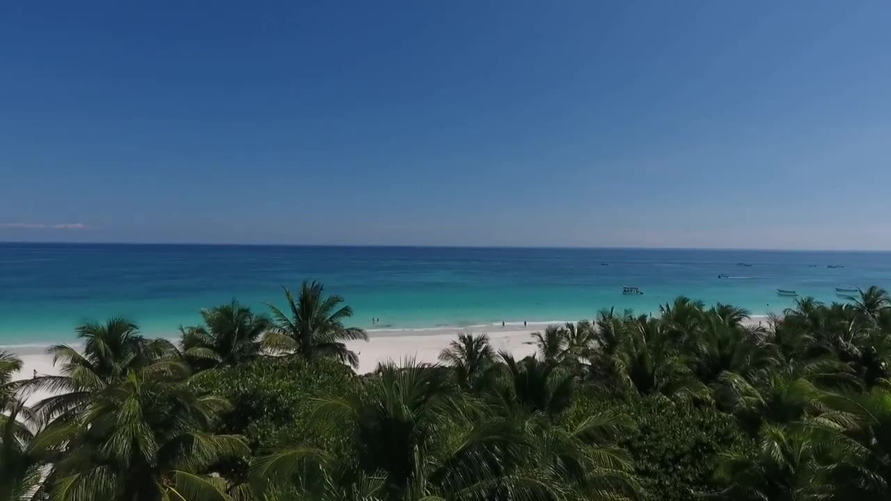 Beach Nature Travel by Drone videos