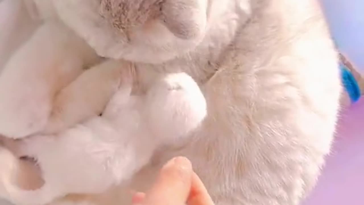she is my child they are her children and of them they