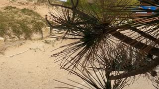 Bournemouth Beach. Drone footage.