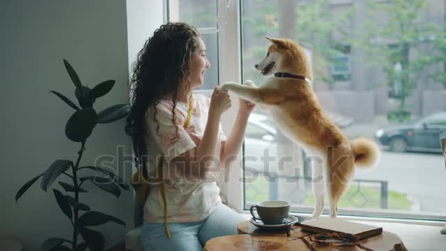 Happy young woman is dancing with pet dog