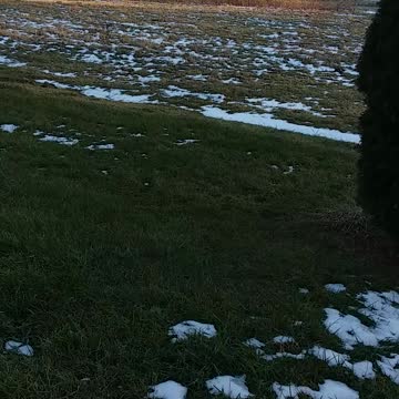 Psalm 22 Revised Standard ( The Lord is my Shepherd)