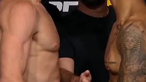 UfC fight