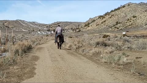 Horses_Maddie_Jake_2022March