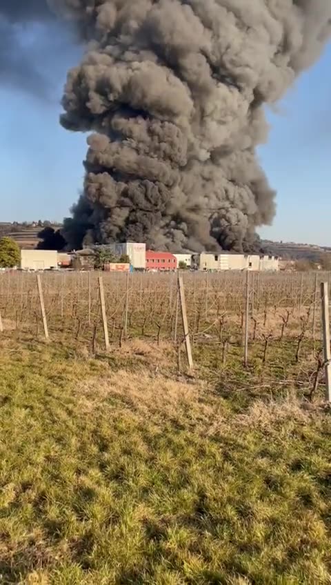 ENVIRONMENTAL VANDALISM TO DESTROY FOOD SUPPLY AND LIFE #1