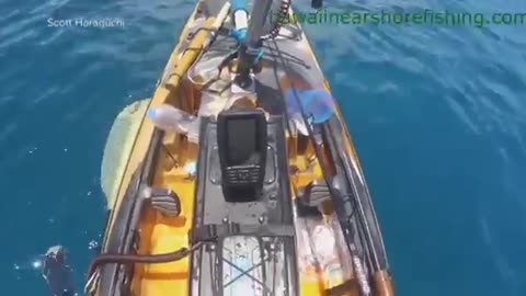 News Break: Fishing