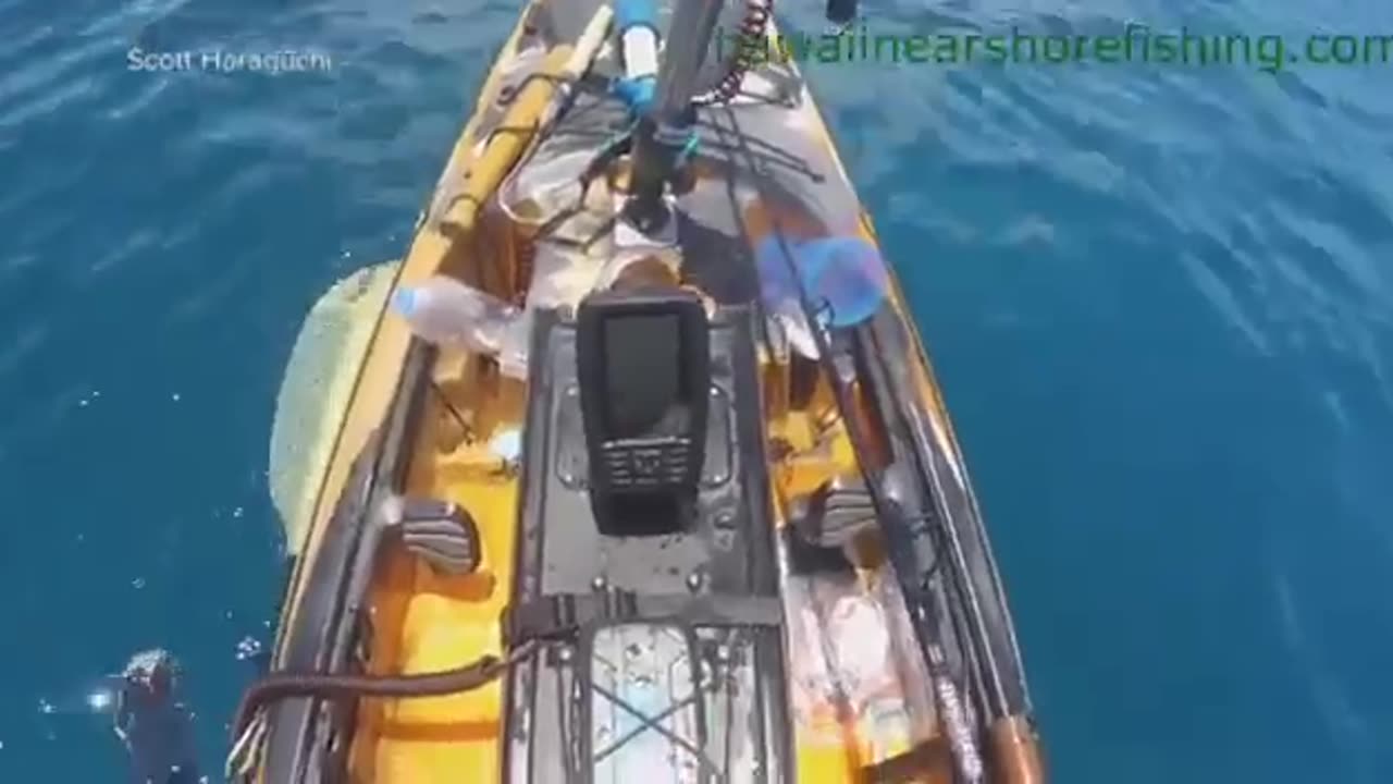 News Break: Fishing